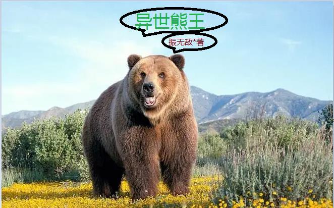 熊熊勇闯异世漫画