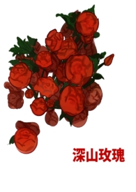 深山玫瑰栀子小说全文免费阅读